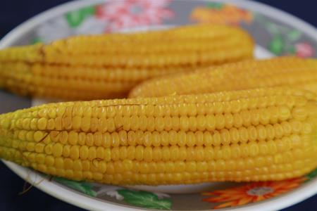<b>boiled corn on the cob</b>