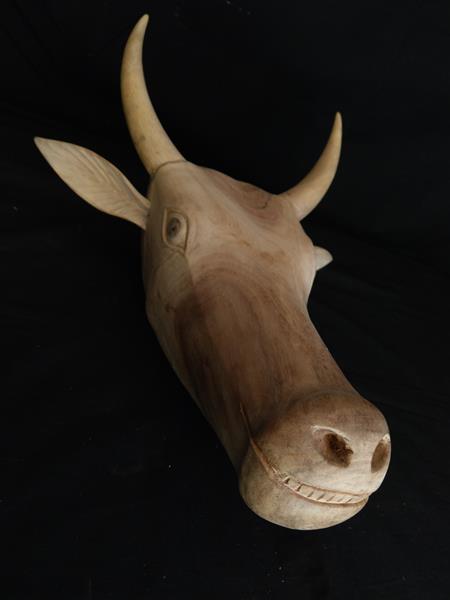 <b>cow head</b>