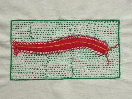 <b>centipede</b>